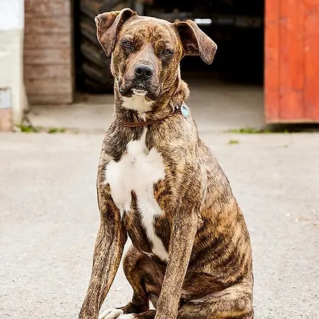 Haus Am Einberg Meschede