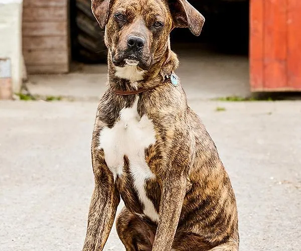 Haus Am Einberg Meschede
