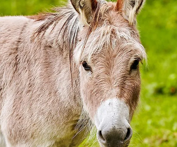 Guest house Haus Am Einberg